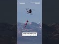 These flying deer in Utah arent working for Santa  - 00:28 min - News - Video