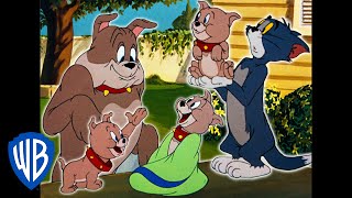 Tom a Jerry - Milej Tyke