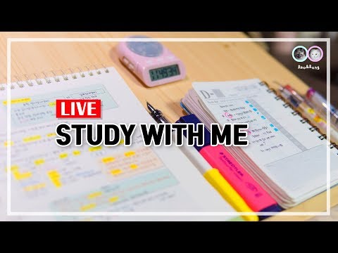 2018.12.19. 오늘도 힘낼고양, 같이 공부해요 / Study with me / Live / ASMR