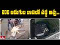 200 అడుగుల బావిలో పడ్డ ఆవు..    | Jordar News | hmtv