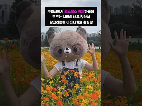 구리시 코스모스 축제를 알리기위해 알고리즘에 나타나기로 결심함