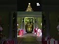 The White House is decked out for the holidays 🦌🎁☃ #shorts(WBAL) - 00:49 min - News - Video