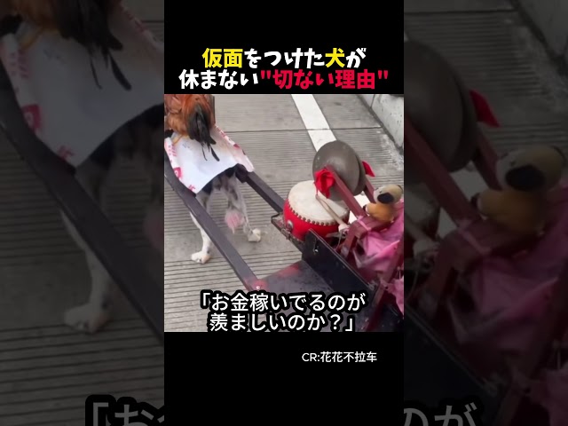 仮面をつけた犬の衝撃的な結末