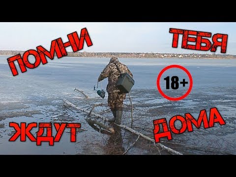 Интересные видео про рыбалку