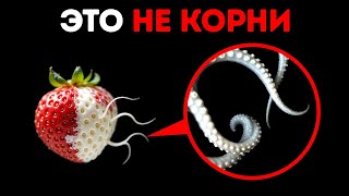 Вещи, которые кажутся безобидными… до поры до времени