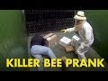 מתיחה - דבורים במעלית