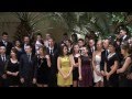 Miniatura video