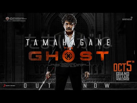 Akkineni Nagarjuna's 'The Ghost' promo is out, impressive 