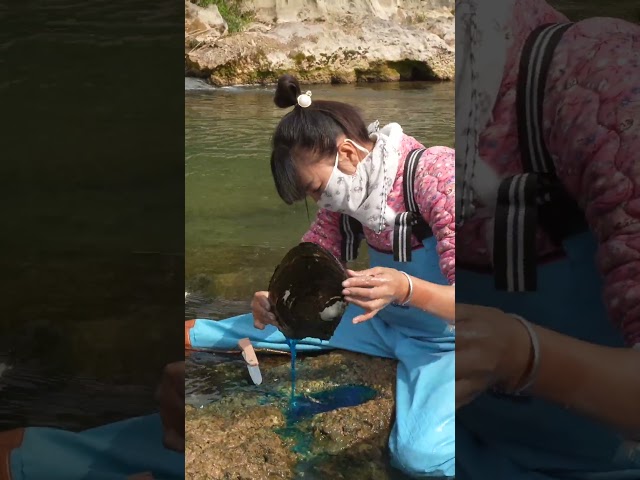 Rural Girl's Pearl Odyssey: An Odd Clam's Hidden Treasure #pearl #pearlhunter