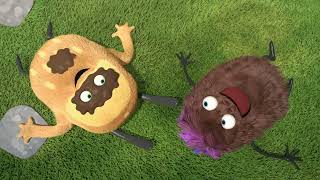 Kiwi a Strit 24 - myc den