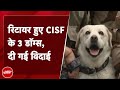 9 साल के Service के बाद CISF से Retire हुए 3 Sniffer Dogs