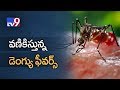 Dengue rings danger bells in Hyderabad