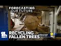 Baltimore lumber company salvages, recycles fallen trees