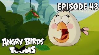 Angry Birds #43 - Efekt mota