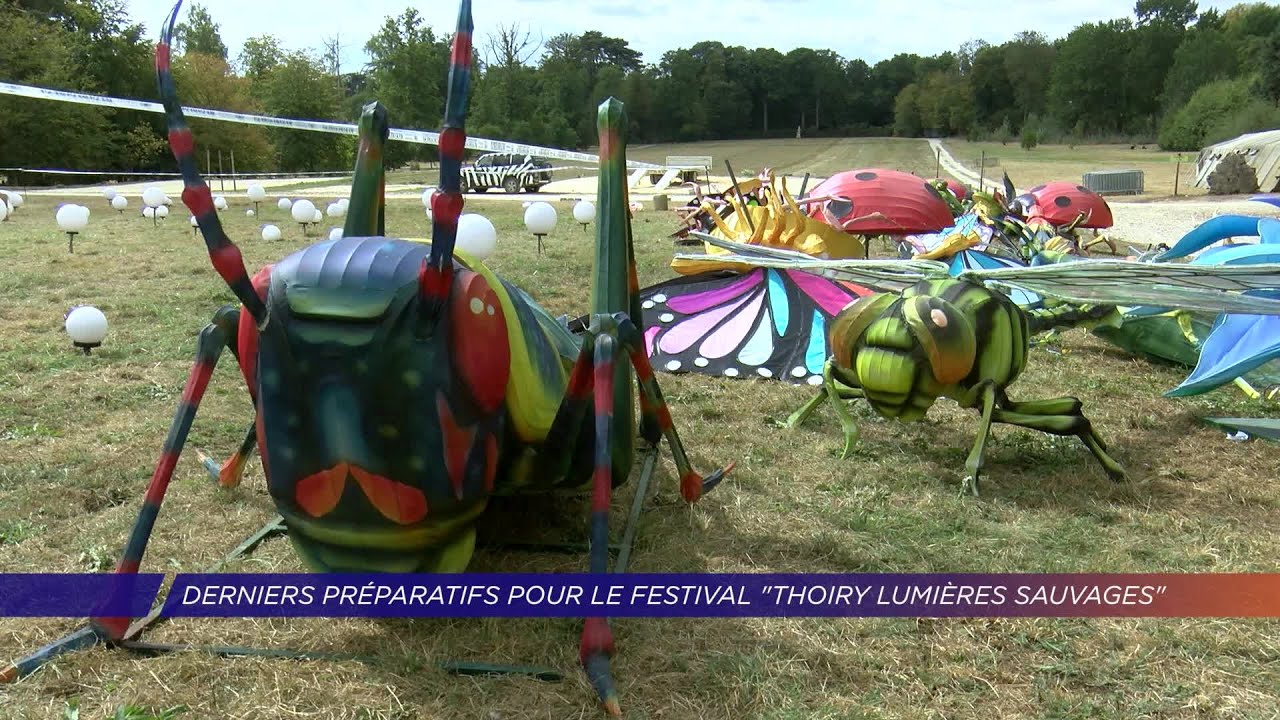 Yvelines | Derniers préparatifs pour le festival  « Thoiry lumières sauvages »