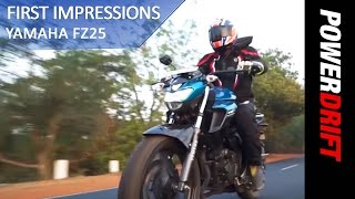 Yamaha Fz 25 Price Bs6 Mileage Images Colours