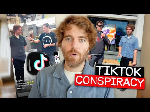 TikTok Conspiracy Investigation
