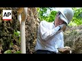 Search still on for missing victims of Hiroshima atomic bombing 80 years later