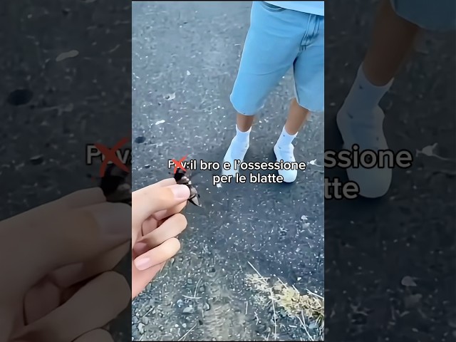 Le giornate di Vacanze Estive quelle Belle
