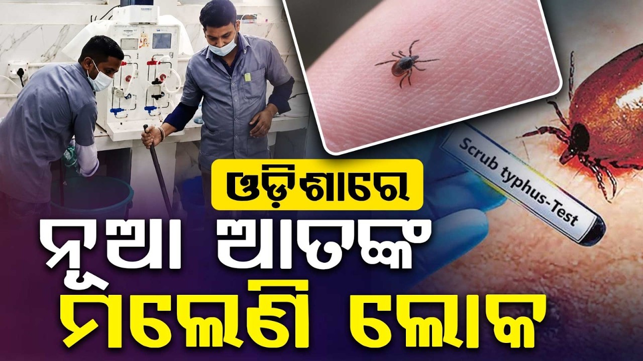 ଓଡ଼ିଶାରେ ନୂଆ ଆତଙ୍କ... | Scrub Typhus Alert in Cuttack | Health Dept Warning | Argus News