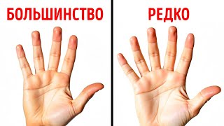 Человеческое тело — это шагающее чудо, и вот почему