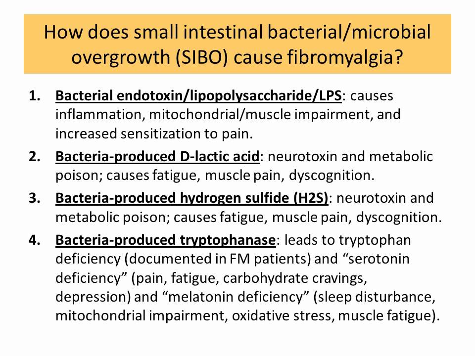 Small intestinal bacterial overgrowth symptoms - glpikol