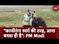 Assam में बोले PM Modi: पहले की सरकारों ने काजीरंगा को नजरअंदाज किया | Kaziranga National Park