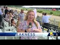 People enjoy Black-Eyed Susan Day at Pimlico  - 01:59 min - News - Video