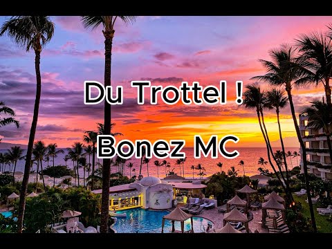 Du Trottel ! - Bonez MC ( Lyrics )