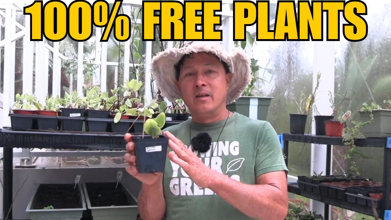 This Lady Gives Away FREE Vegetables that thrive in Florida