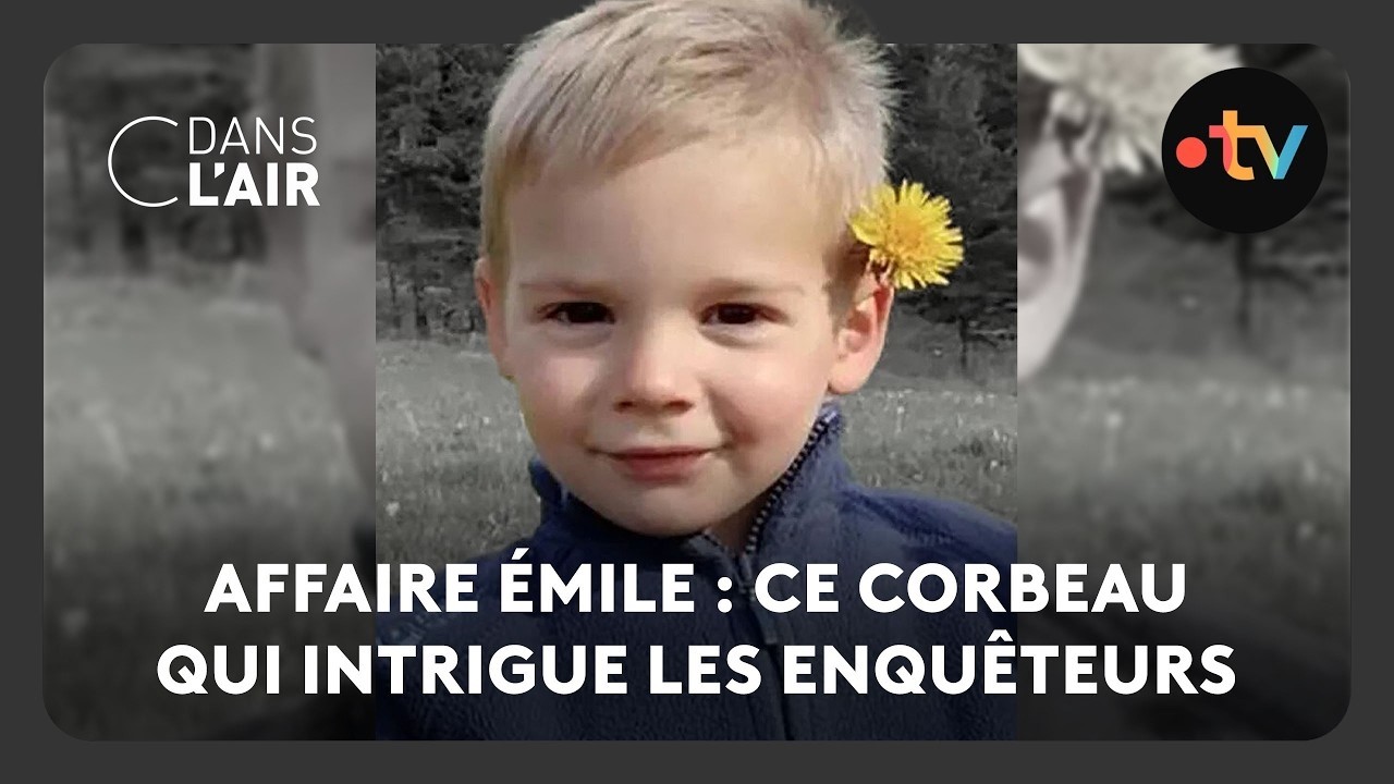 Affaire Émile : ce corbeau qui intrigue les enquêteurs - C dans l’air - 29.08.2026