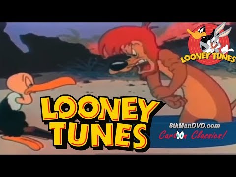 The Lion's Busy'