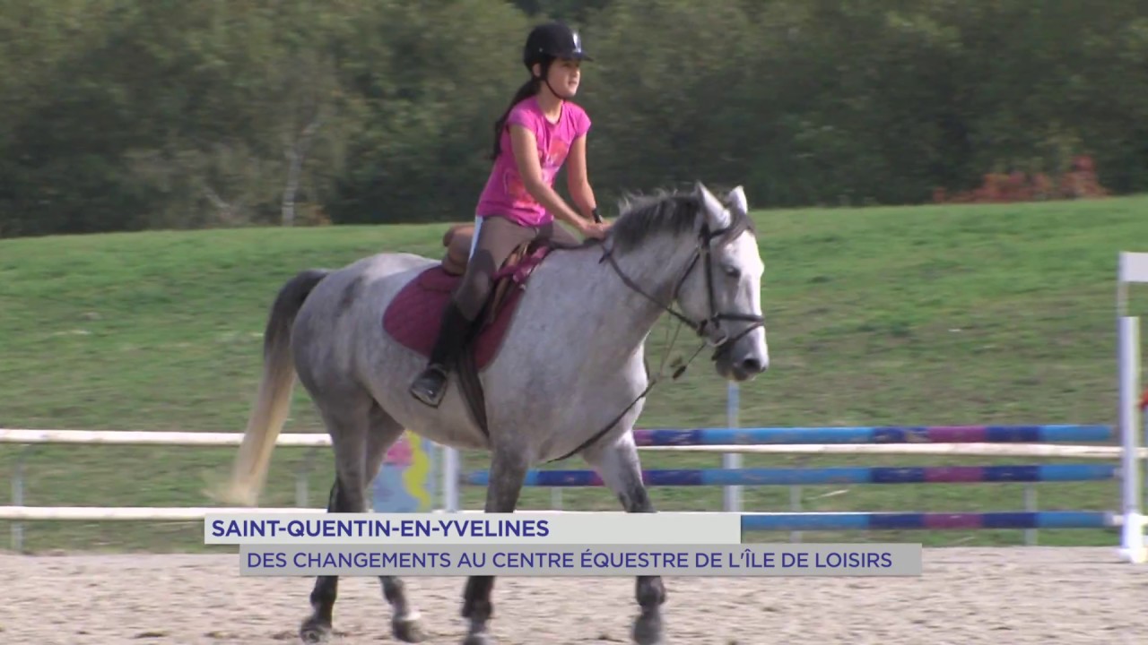 SQY Equitation : le centre équestre prend une nouvelle direction à l’île-des-loisirs