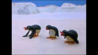 Pingu And His Friends Play Too Loudly - Pingu Official Channel