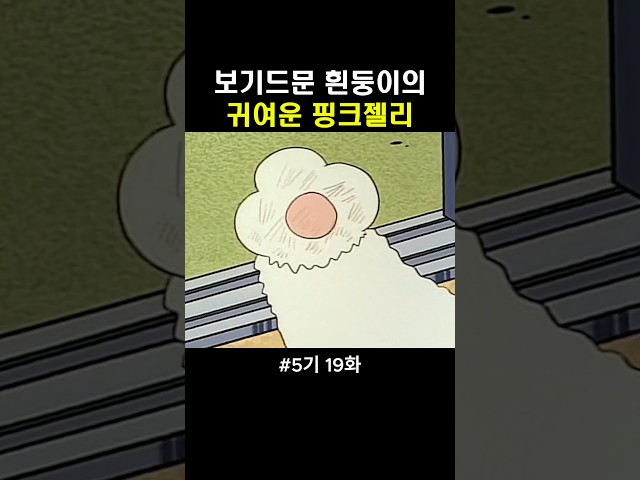 흰둥이의 핑크젤리