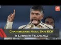 Chandrababu Says KCR Is Losing In Telangana!