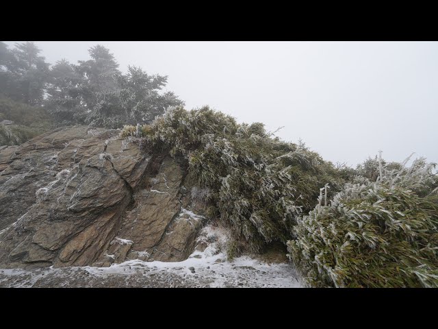 合歡山武嶺下雪實況 - 營火部落