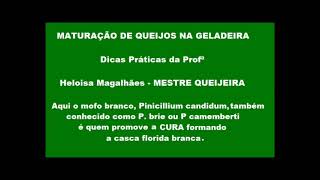 Vídeo professora Heloísa Maturação de queijos na geladeira