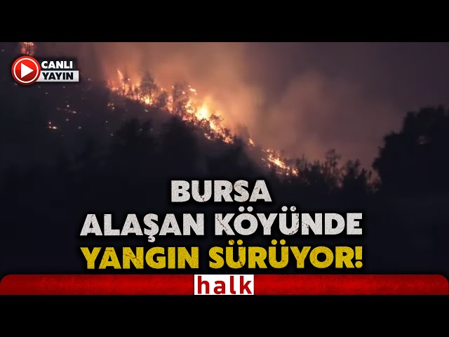 #CANLI | Bursa'nın Gürsu ilçesi Alaşan köyünde orman yangını sürüyor | #HalkTV