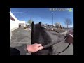 Shoplifter chased by police on horseback in New Mexico  - 01:11 min - News - Video