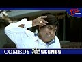Brahmanandam And Kovai Sarala Comedy Scenes | Telugu Movie Comedy Scenes | NavvulaTV - 11:48 min - News - Video