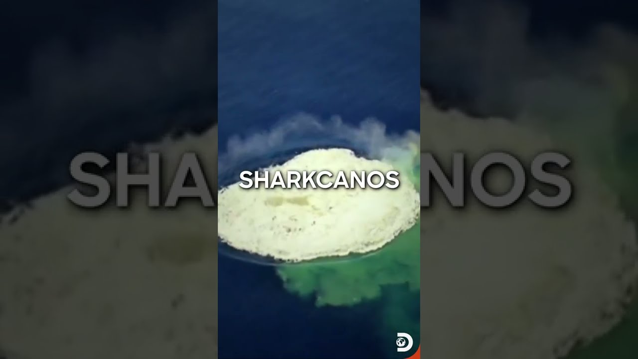 Tornadoes, Volcanoes, Sharknado and now… SHARKCANOS! #KavachiVolcano #shorts #discoverychannel