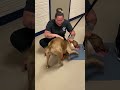 Dog reunites with owner after nearly 2 years apart - 00:50 min - News - Video