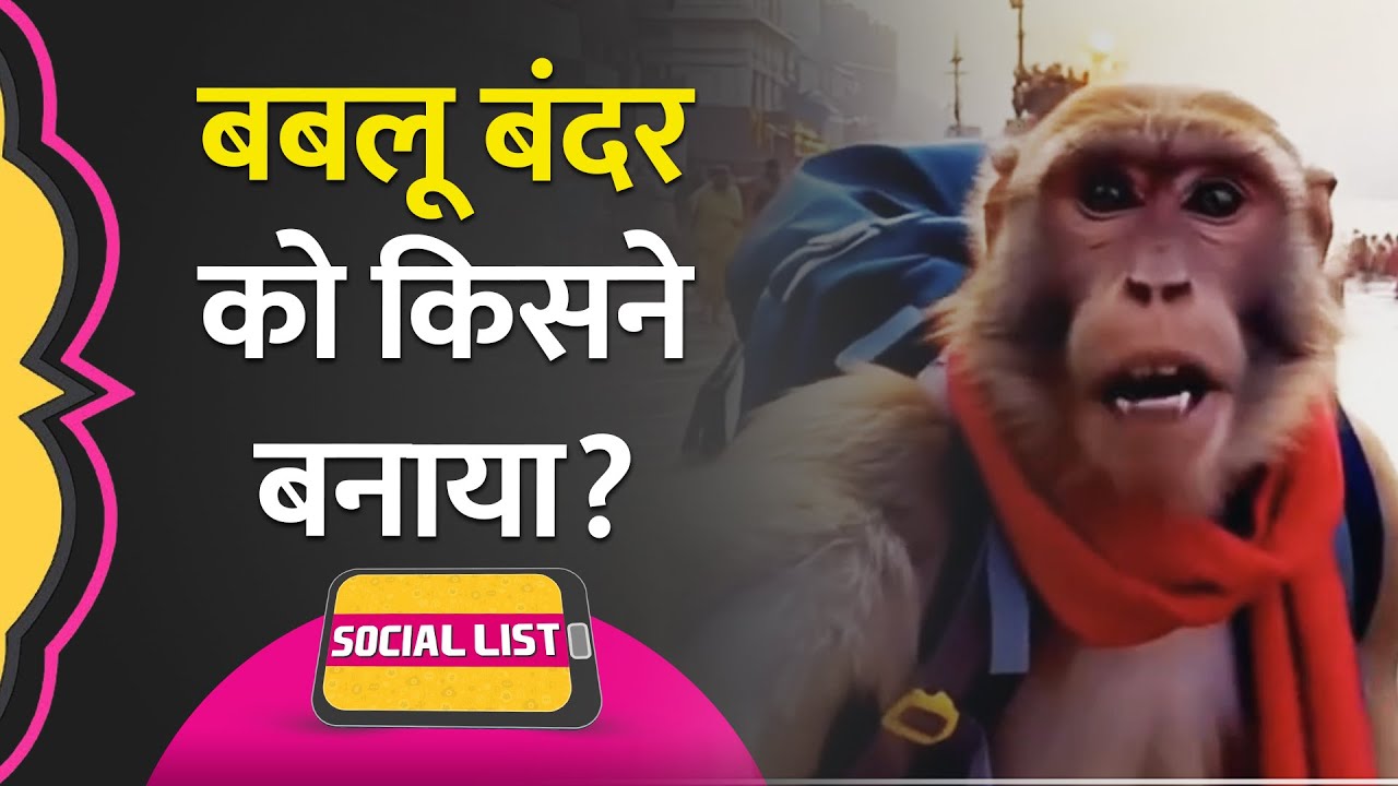 बंदर Vlogger Babloo AI के Travel Videos इतने Viral कैसे हुए? कौन है Account के पीछे | Social List