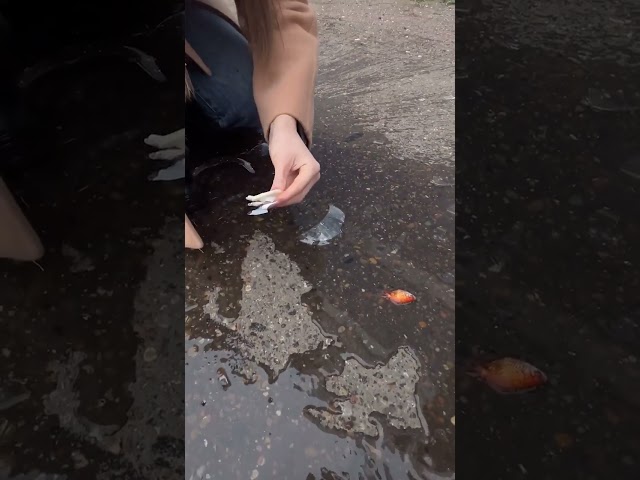 Bu yaratıcı lastik hilelerine bir göz atın!