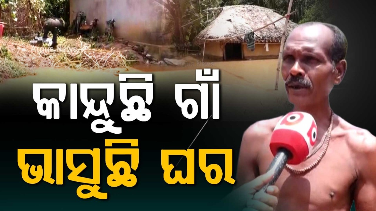 Kani River Flood: Villages Submerged For 6 Days; People Living With Cattle | Argus News