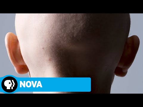 NOVA: Memory Hackers'