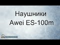 Наушники Awei ES-100m silver обзор