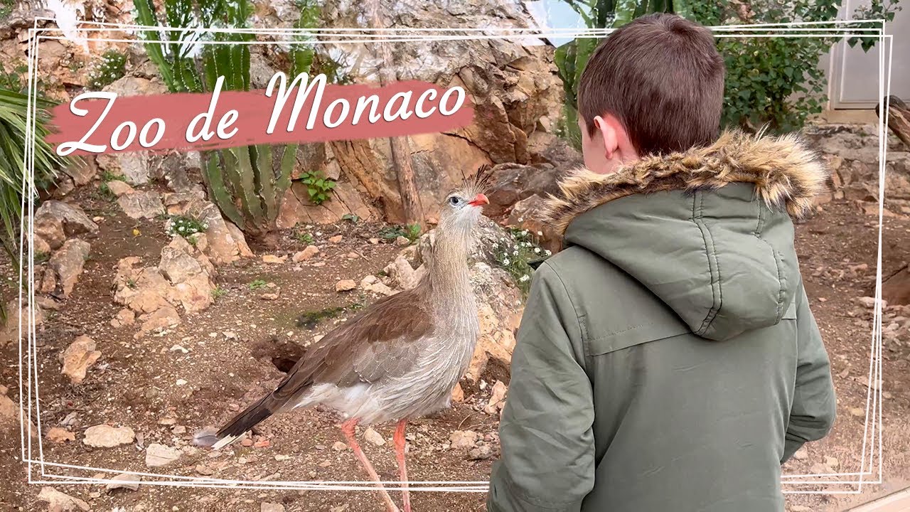Visite au zoo de Monaco 🦛