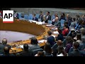 WATCH: UN Security Council adopts Gaza cease-fire resolution